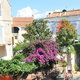 Dsc 4762 Calvi