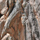 Dsc 5227 Calanches
