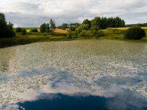 Pejzaż
