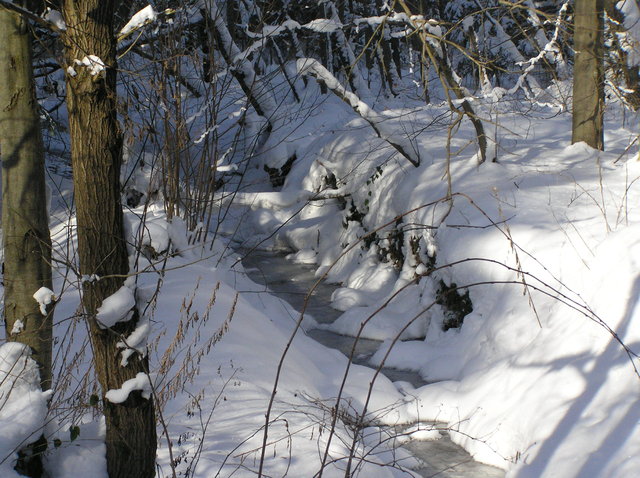 Zimowy strumyk