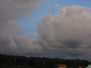 Nimbocumulus, widok z mojego podwórka