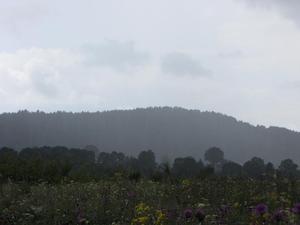 Deszcz