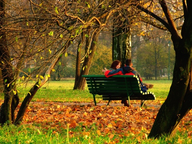 Park Jordana jesienią