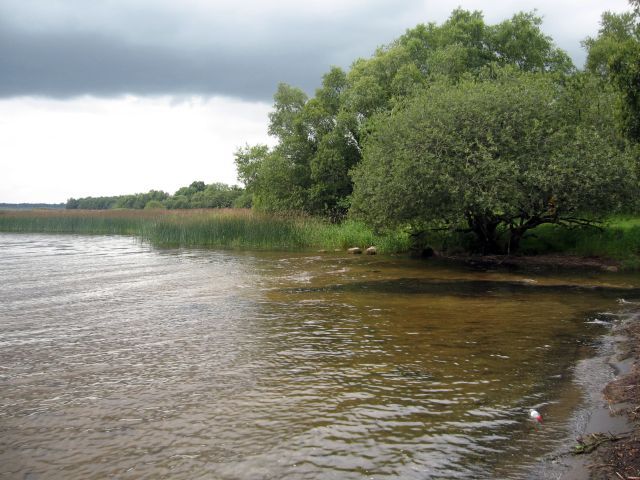 Lough Ennell - Mullingar