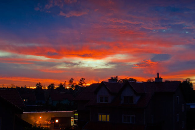 Pejzaż 