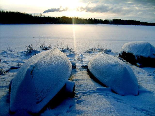 Przysypane żółwie, Finlandia