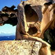 Formazione rocciosa di capo orso domina l  arcipelago della maddalena