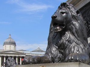 Lwy Trafalgar square