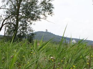 Chęciny z daleka