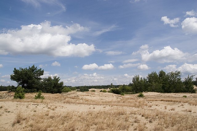 Grochalskie Piachy