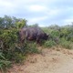 Park Addo