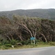 Na Polwyspie Przyladkowym w drodze na Cape Point
