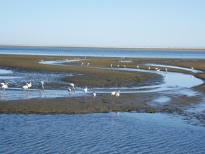 Walvis Bay