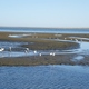 Walvis Bay