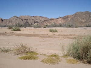 Pustynia Namib
