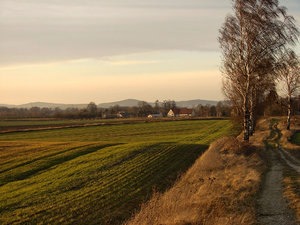 Pejzaż 