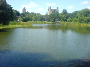 Nowy Jork, Central Park