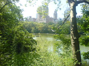 Nowy Jork, Central Park