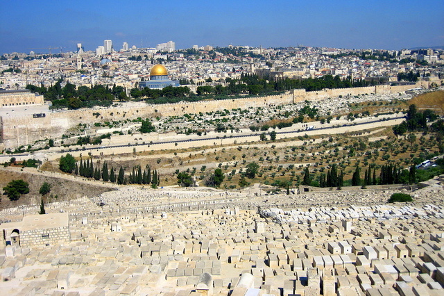 panorama z góry oliwnej