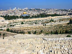 panorama z góry oliwnej
