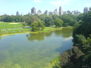 Nowy Jork, Central Park