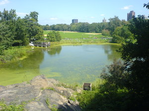 Nowy Jork, Central Park