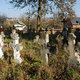 cmentarz w Rohatynie