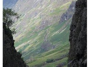 2008 08120054