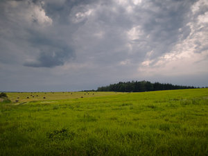 Pejzaż 
