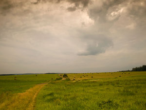 Pejzaż 