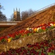 Stapenhill Gardens - Burton upon Trent
