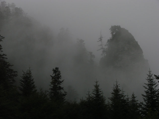Pieniny