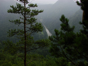 Pieniny - widok z Sokolicy