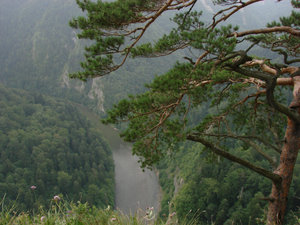 Pieniny - widok z Sokolicy