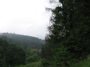 Bieszczady