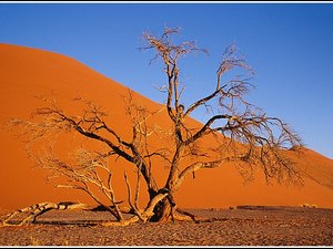 Namibia 