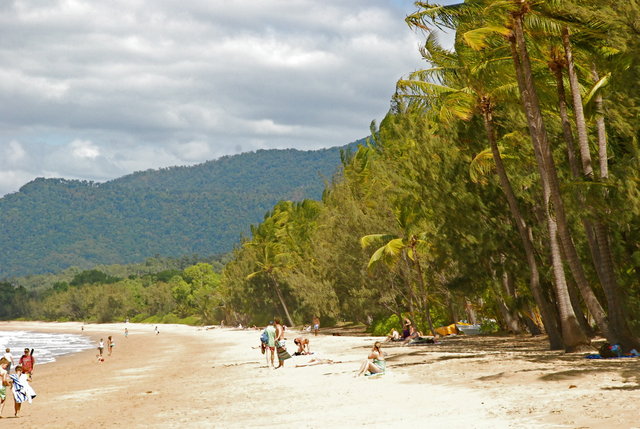 okolice Cairns, Palm Cove beach