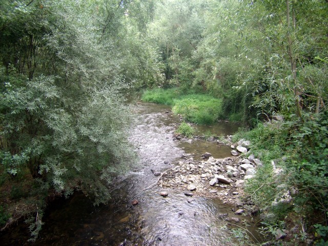 Paseo