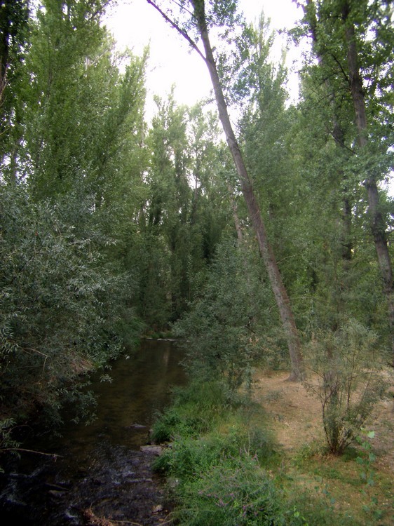 Paseo