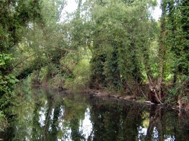 Paseo