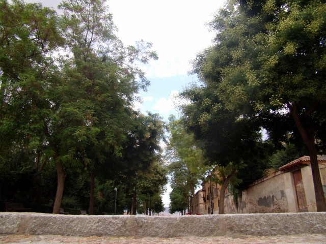 115304 - Segovia