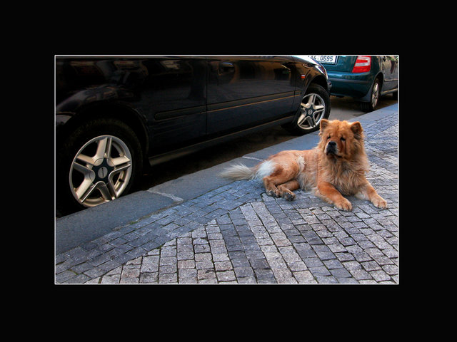 Boss