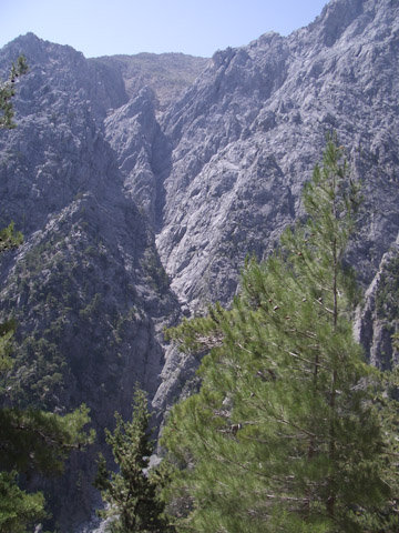 Imgp4087