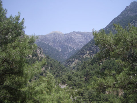 Imgp4096