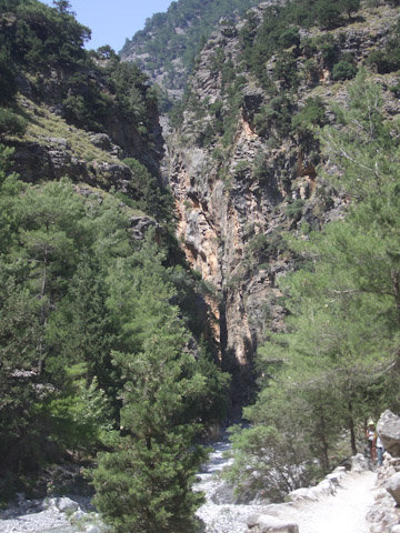 Imgp4120