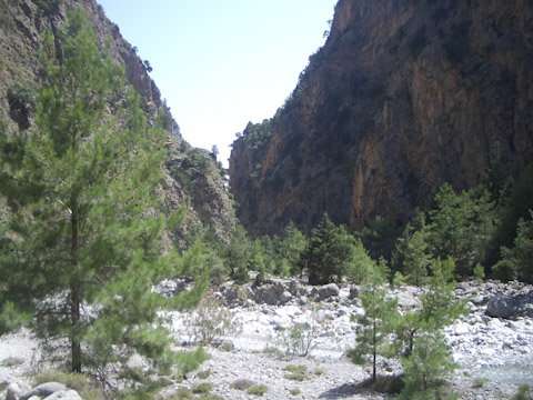 Imgp4121