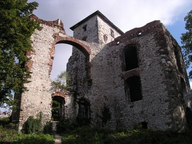 ZamekTenczyn w Rudnie