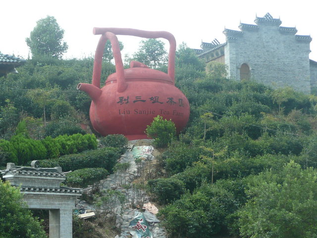 Plantacja herbaty w okolicach Guilin