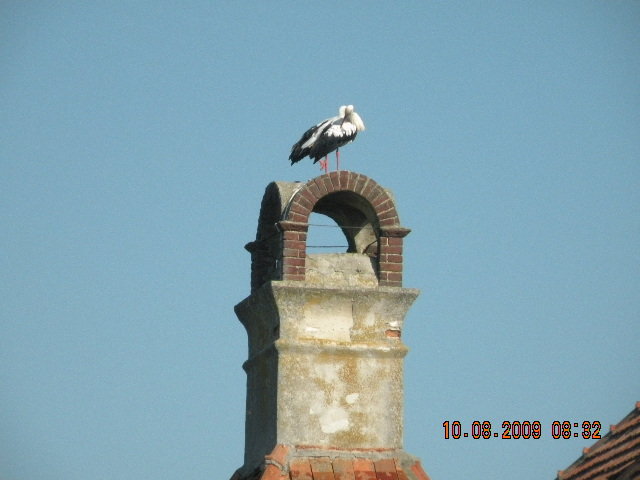 Ukraińskie boćki
