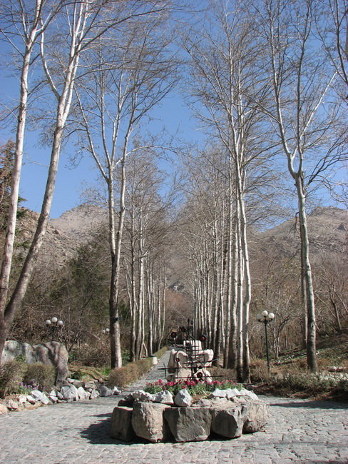 Park Jamshidiyeh